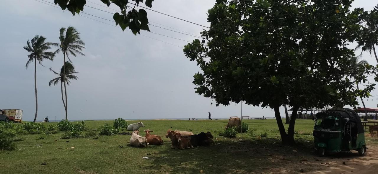Gunne Fisherman House Weligama Ngoại thất bức ảnh